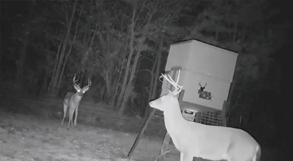 $385,000 | 0 Farm To Market 114 Avery Tx 75554, Avery, TX 75554