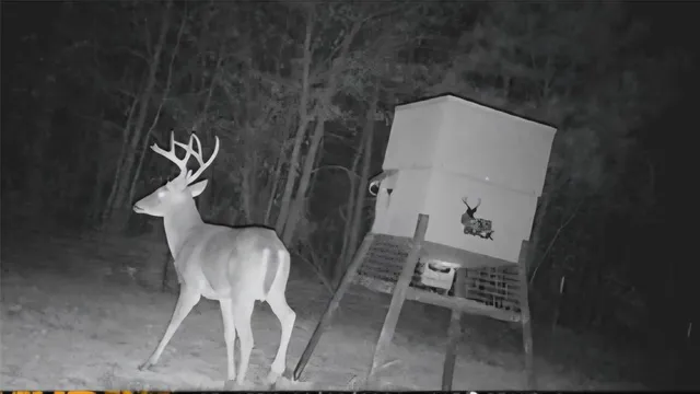 $385,000 | 0 Farm To Market 114 Avery Tx 75554, Avery, TX 75554