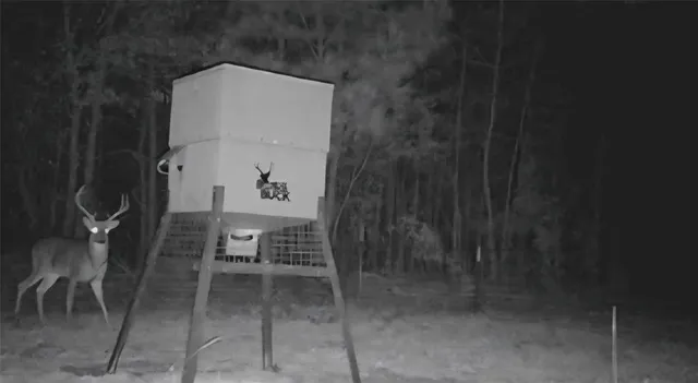 $385,000 | 0 Farm To Market 114 Avery Tx 75554, Avery, TX 75554