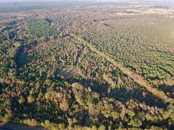 $385,000 | 0 Farm To Market 114 Avery Tx 75554, Avery, TX 75554