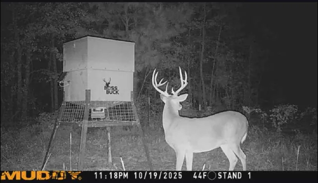 an aerial view of a house with outdoor space