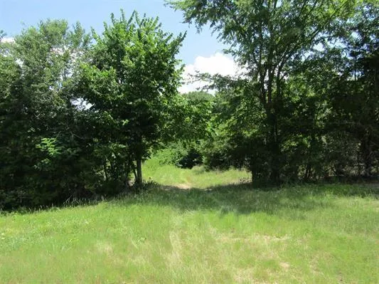 a view of yard with green space