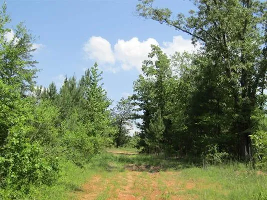 $385,000 | 0 Farm To Market 114 Avery Tx 75554, Avery, TX 75554