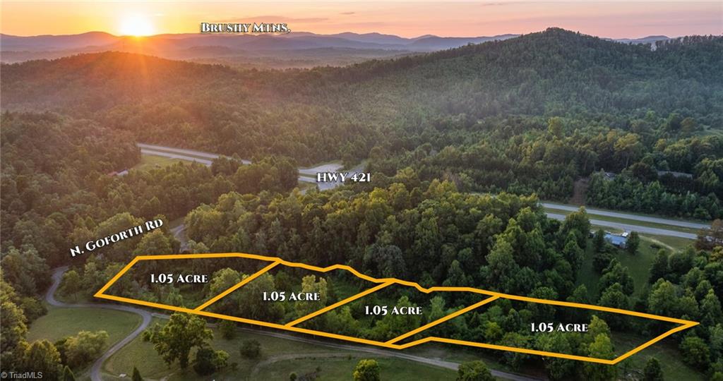 0 North Goforth Road Ferguson, NC 28624 - Photo 2 of 16
