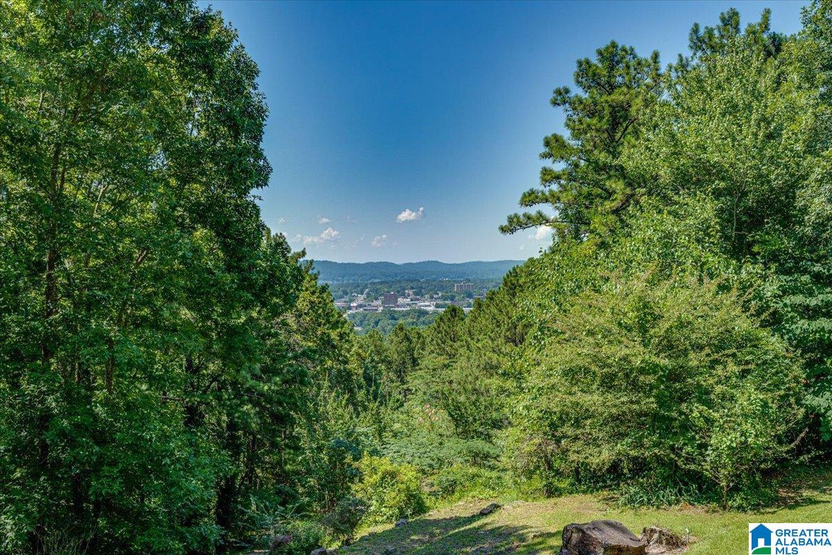231 Overlook Drive Gadsden, AL 35901 - Photo 50 of 50