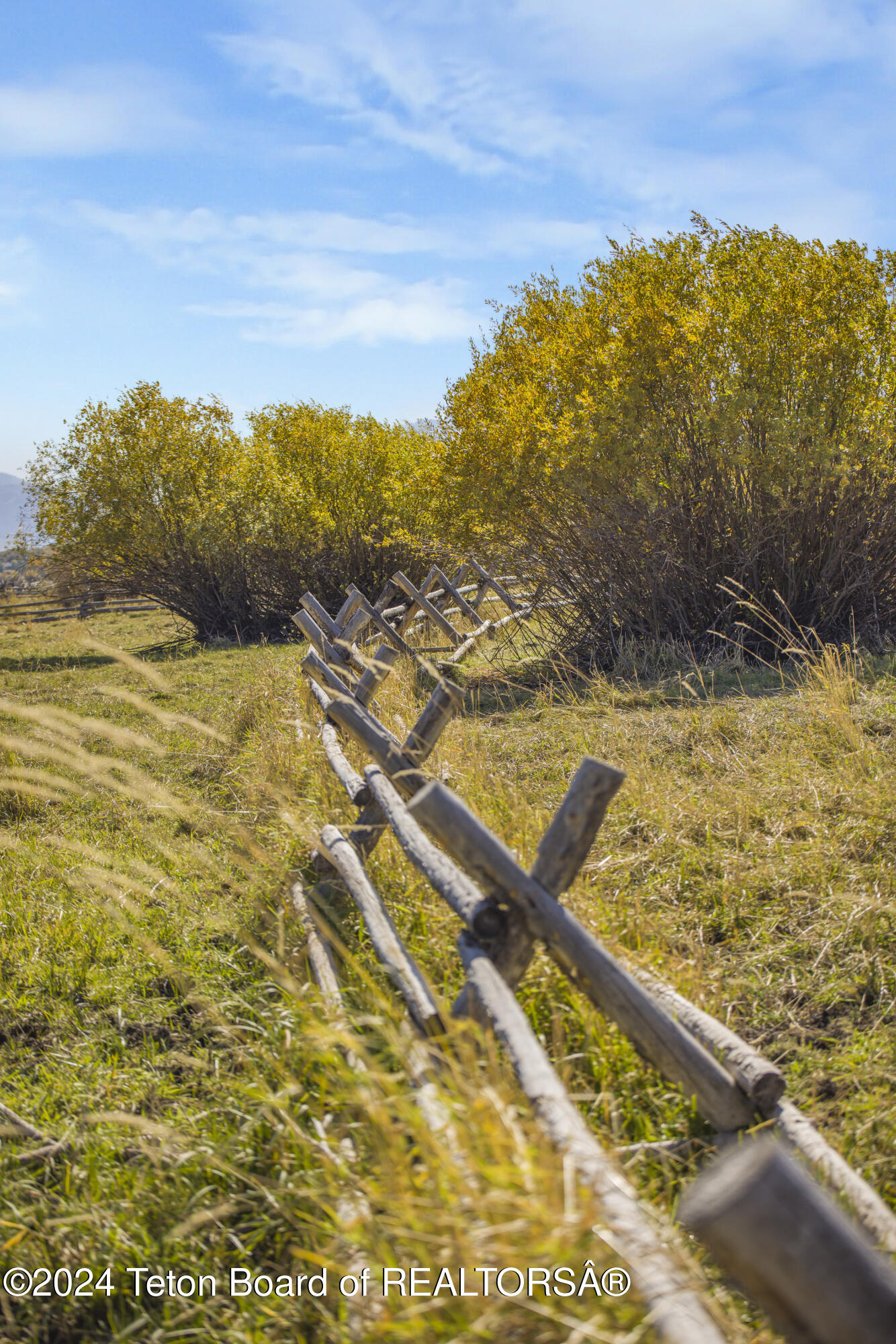 3600 West 5750 Street Victor, ID 83455 - Photo 14 of 34 8g5a7760