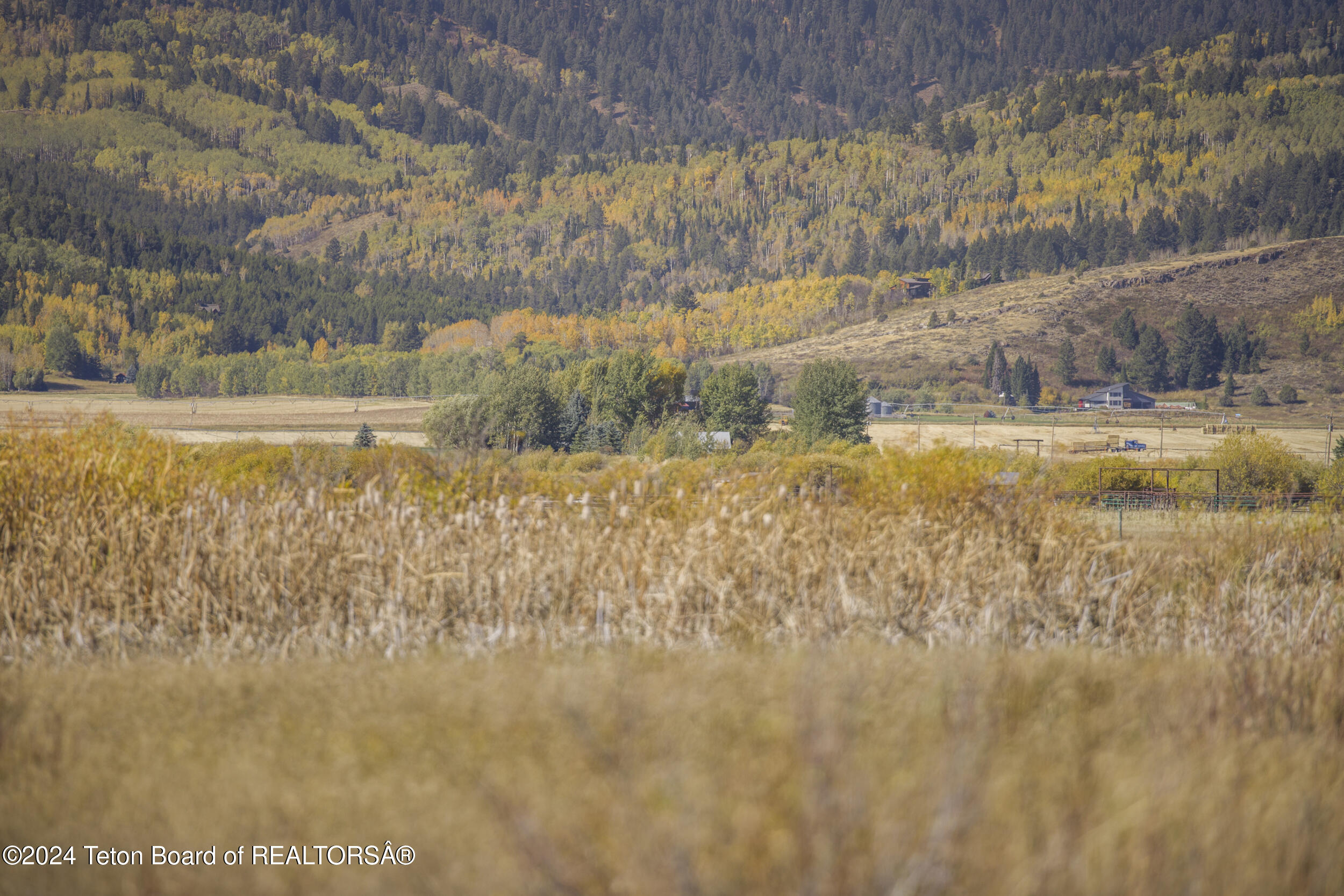 3600 West 5750 Street Victor, ID 83455 - Photo 33 of 34 8g5a7753
