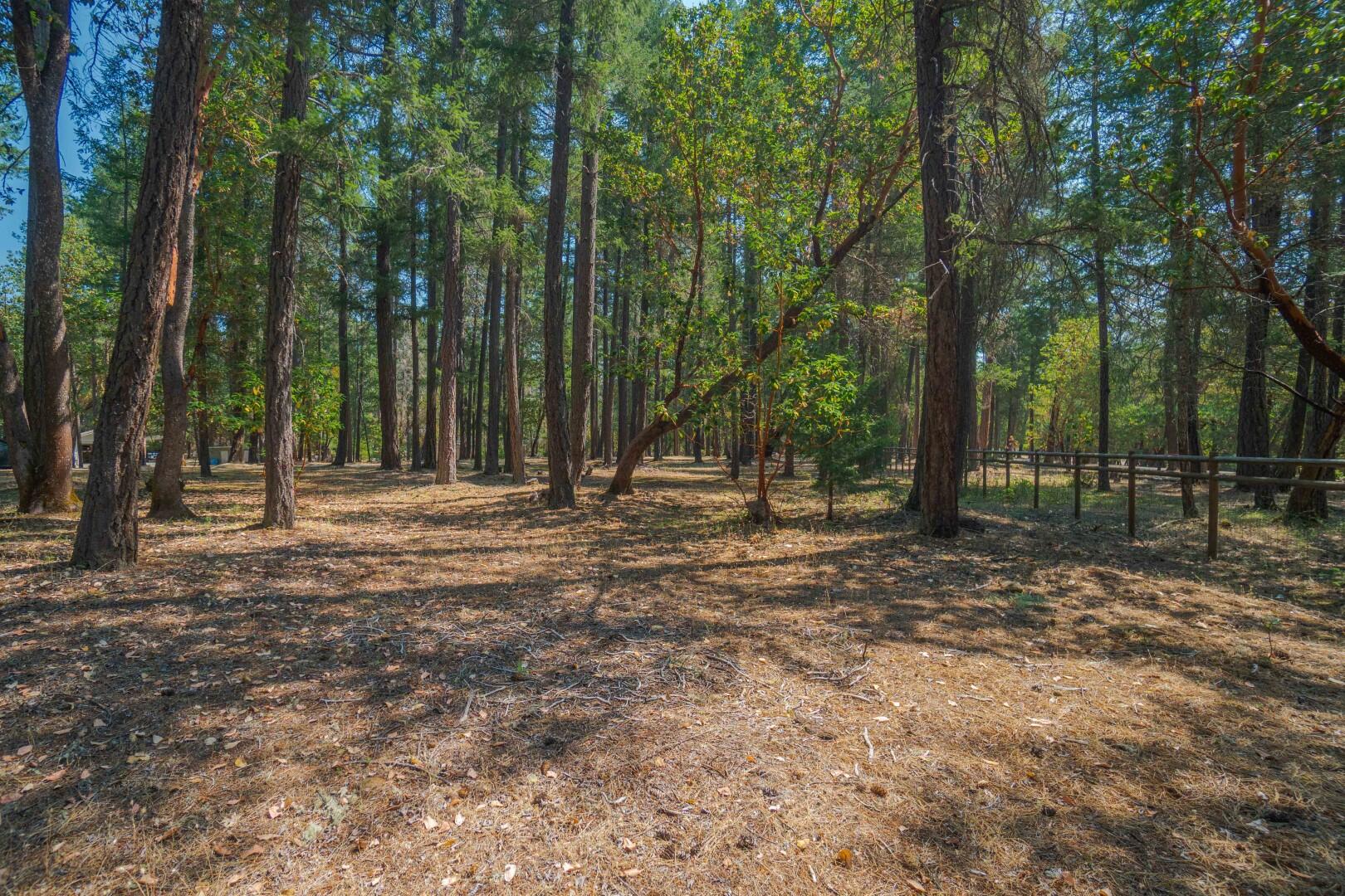 1111 Powell Creek Road Williams, OR 97544 - Photo 74 of 85 DSC01067