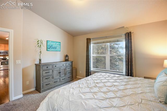 31 Wahsatch Road Florissant, CO 80816 - Photo 20 of 46 Main level master bedroom