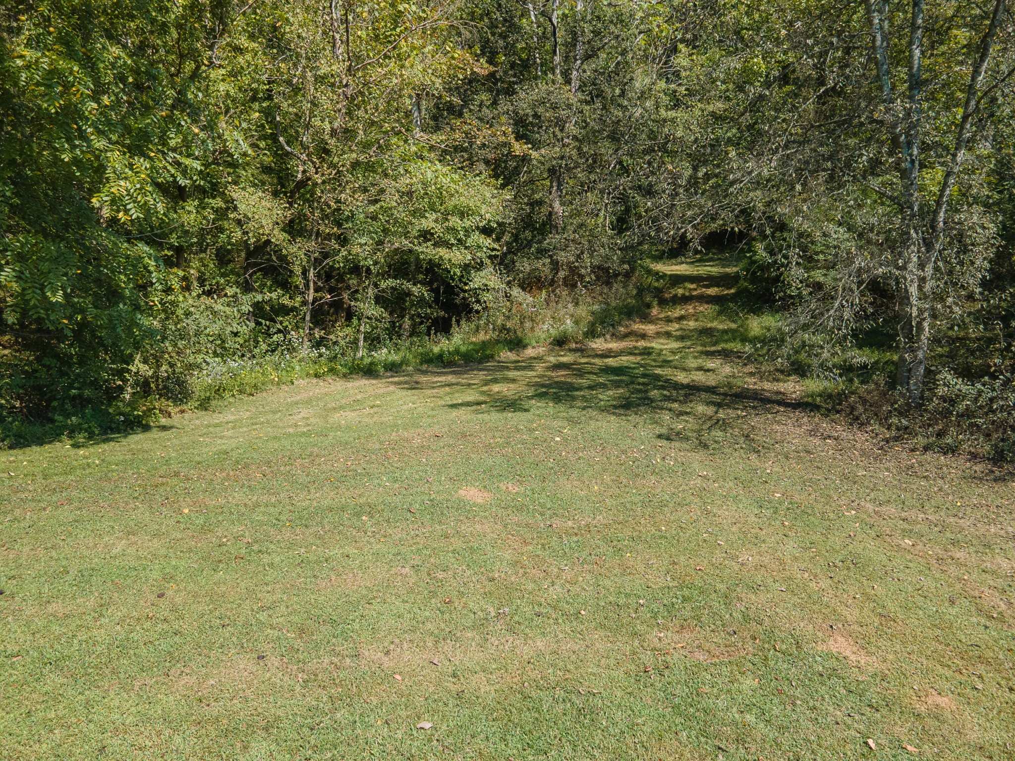 1657 Terrapin Branch Road Mount Pleasant, TN 38474 - Photo 24 of 85