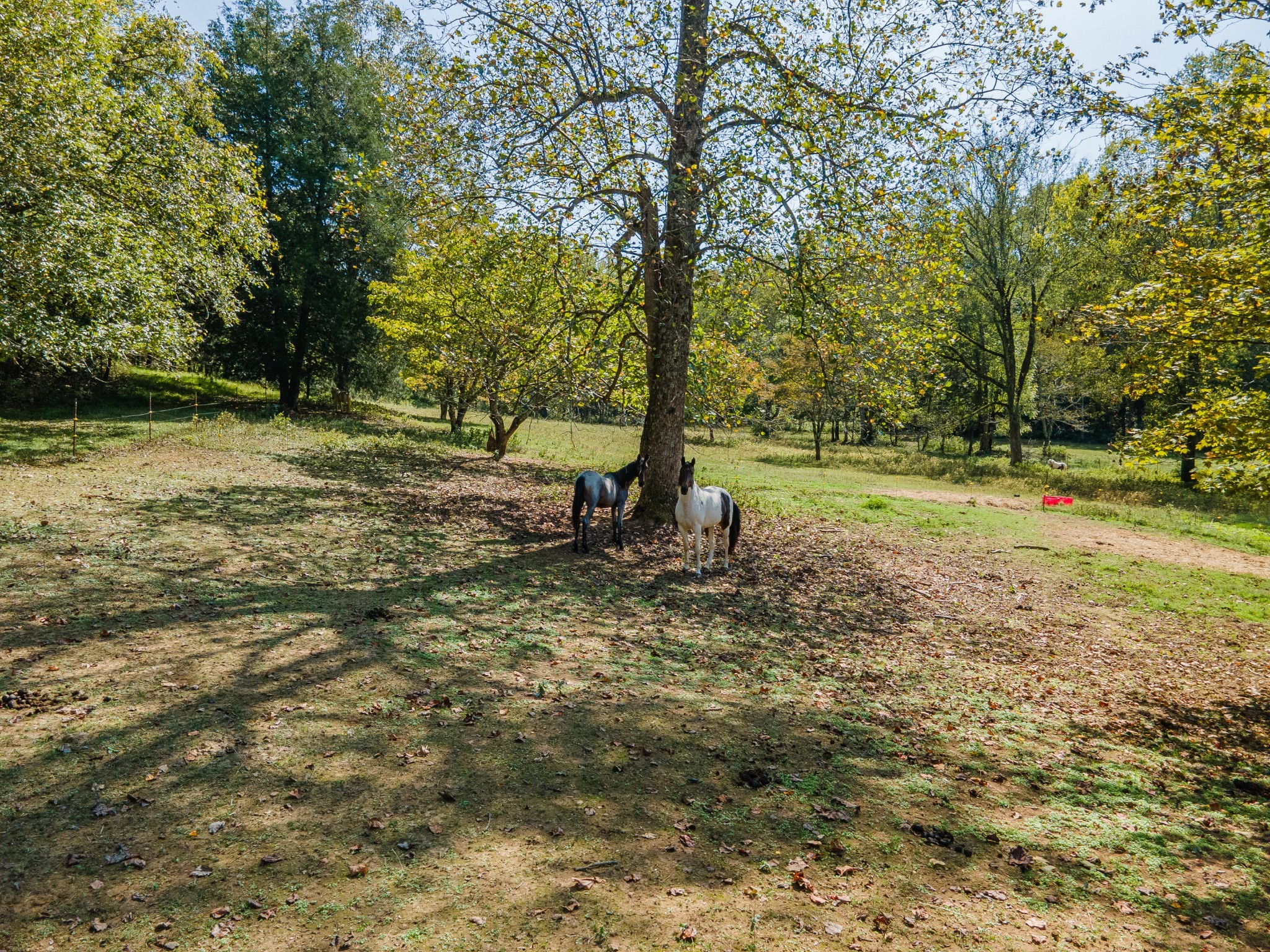 1657 Terrapin Branch Road Mount Pleasant, TN 38474 - Photo 30 of 85