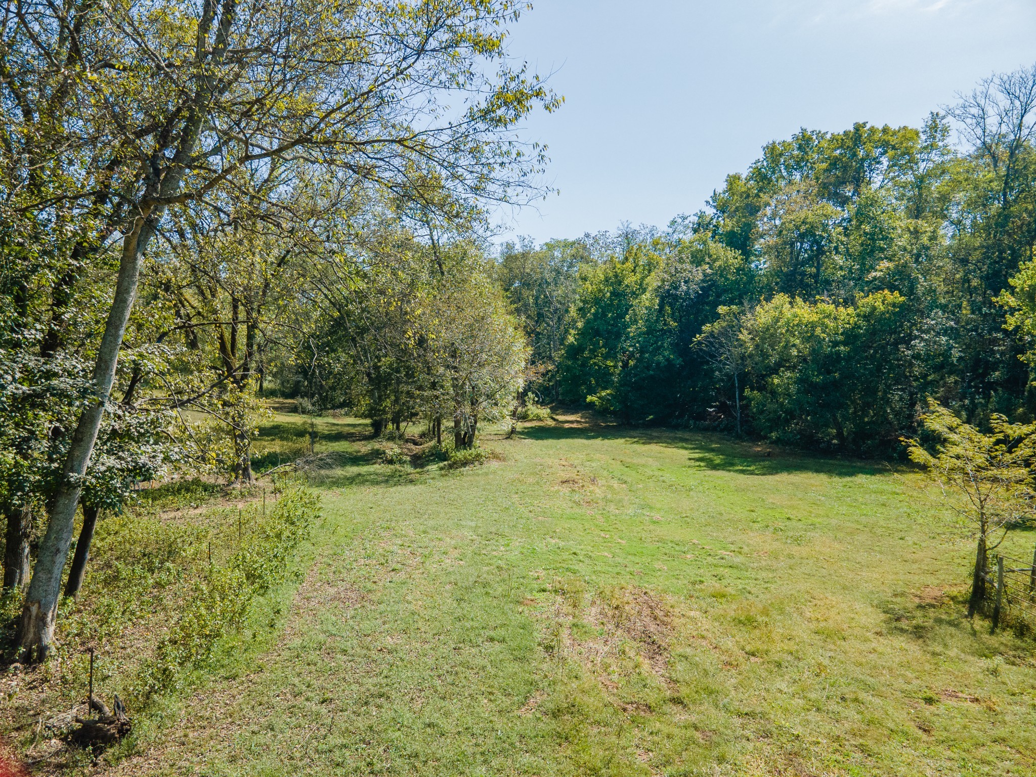 1657 Terrapin Branch Road Mount Pleasant, TN 38474 - Photo 32 of 85