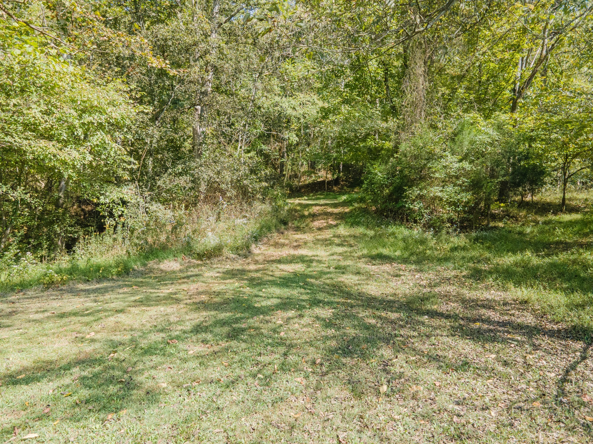 1657 Terrapin Branch Road Mount Pleasant, TN 38474 - Photo 37 of 85