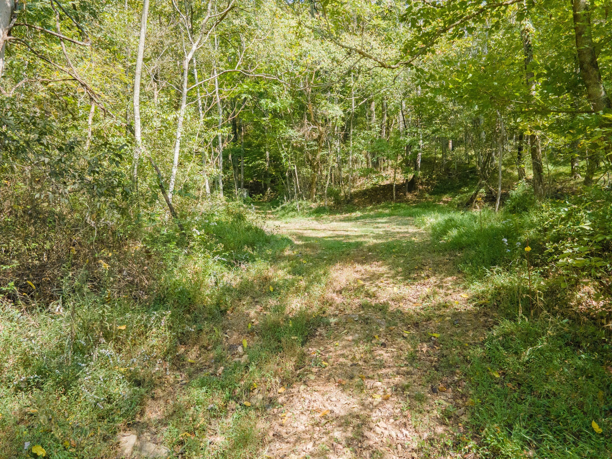 1657 Terrapin Branch Road Mount Pleasant, TN 38474 - Photo 38 of 85