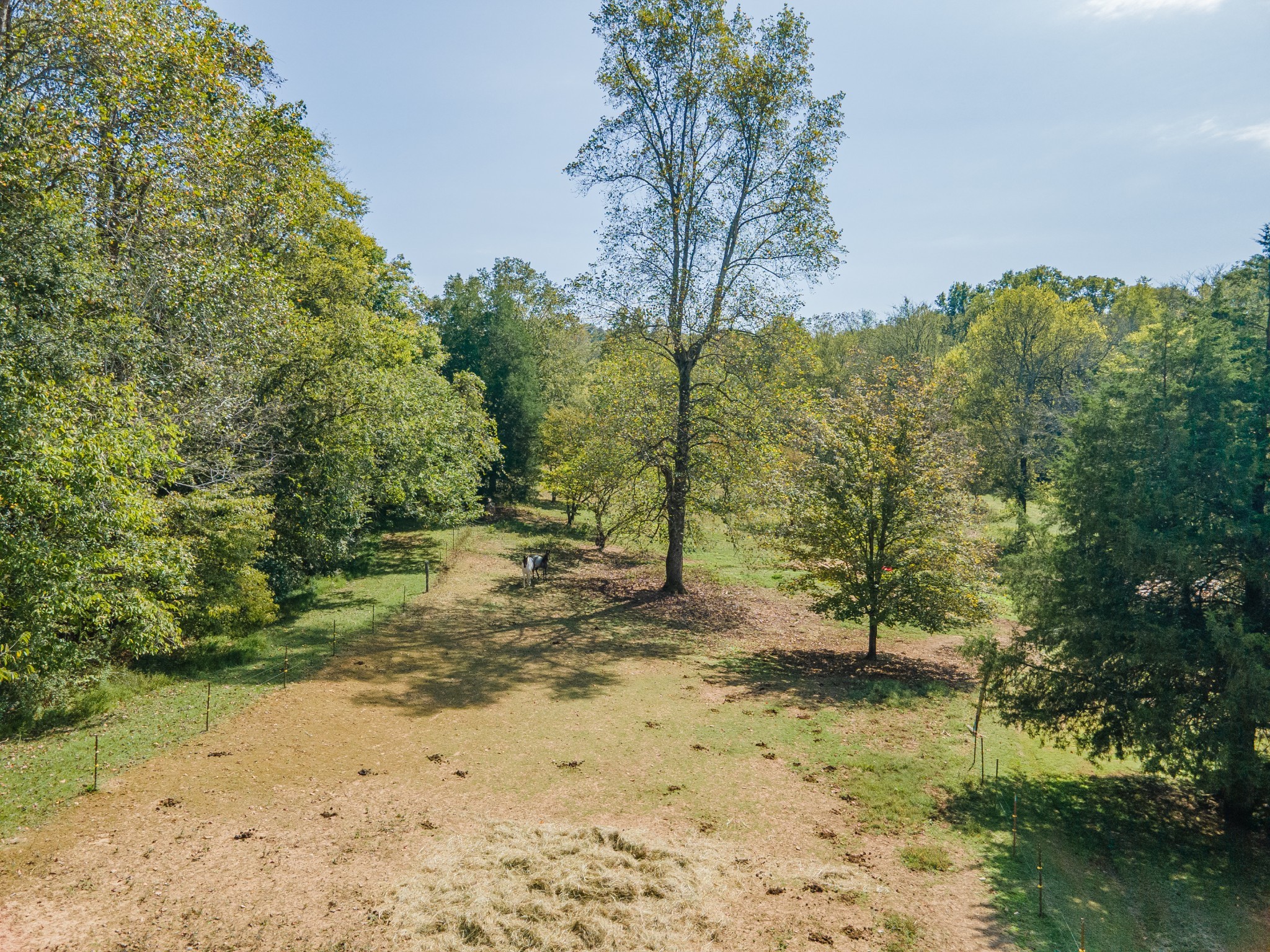 1657 Terrapin Branch Road Mount Pleasant, TN 38474 - Photo 40 of 85