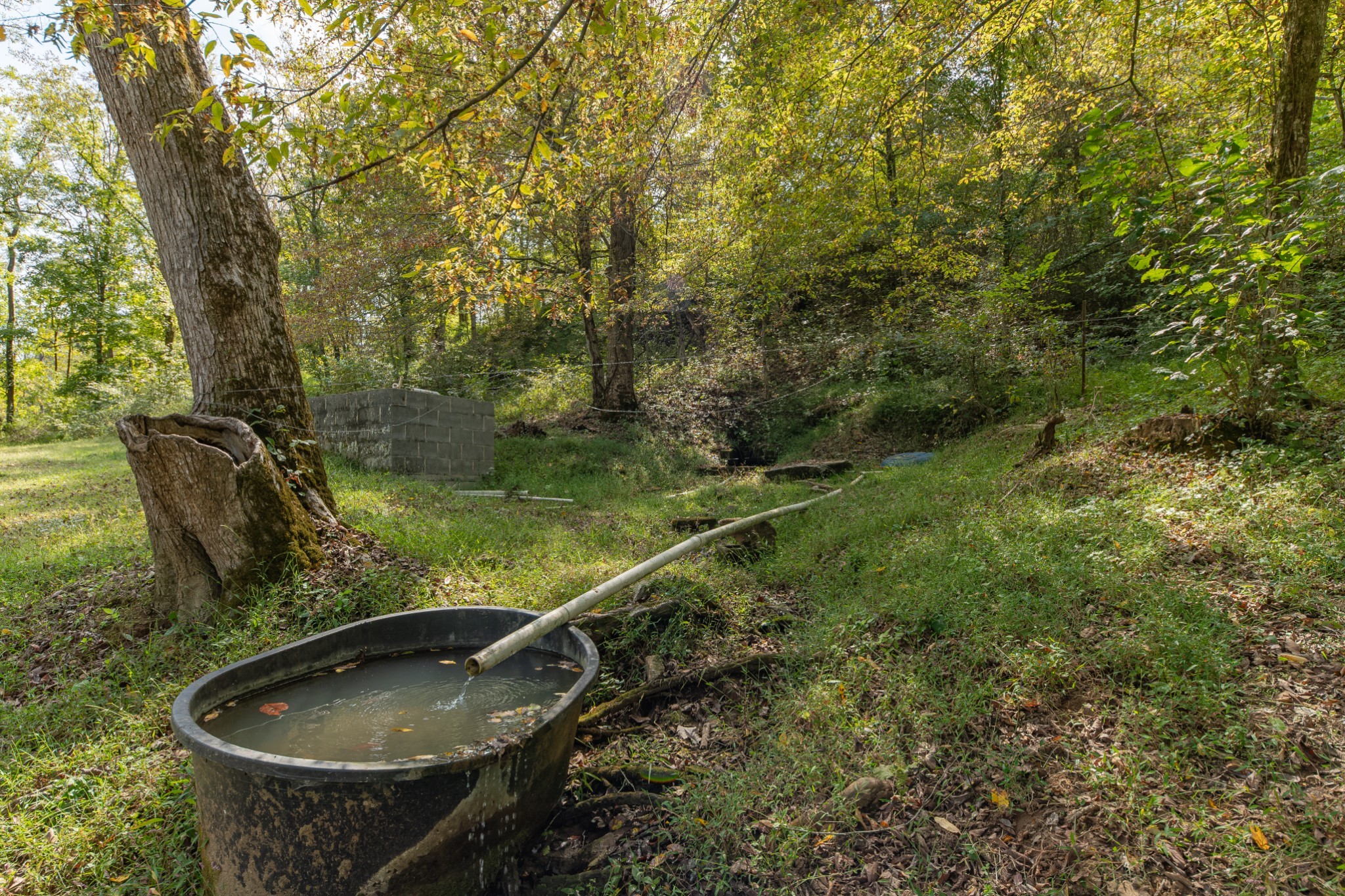 1657 Terrapin Branch Road Mount Pleasant, TN 38474 - Photo 46 of 85