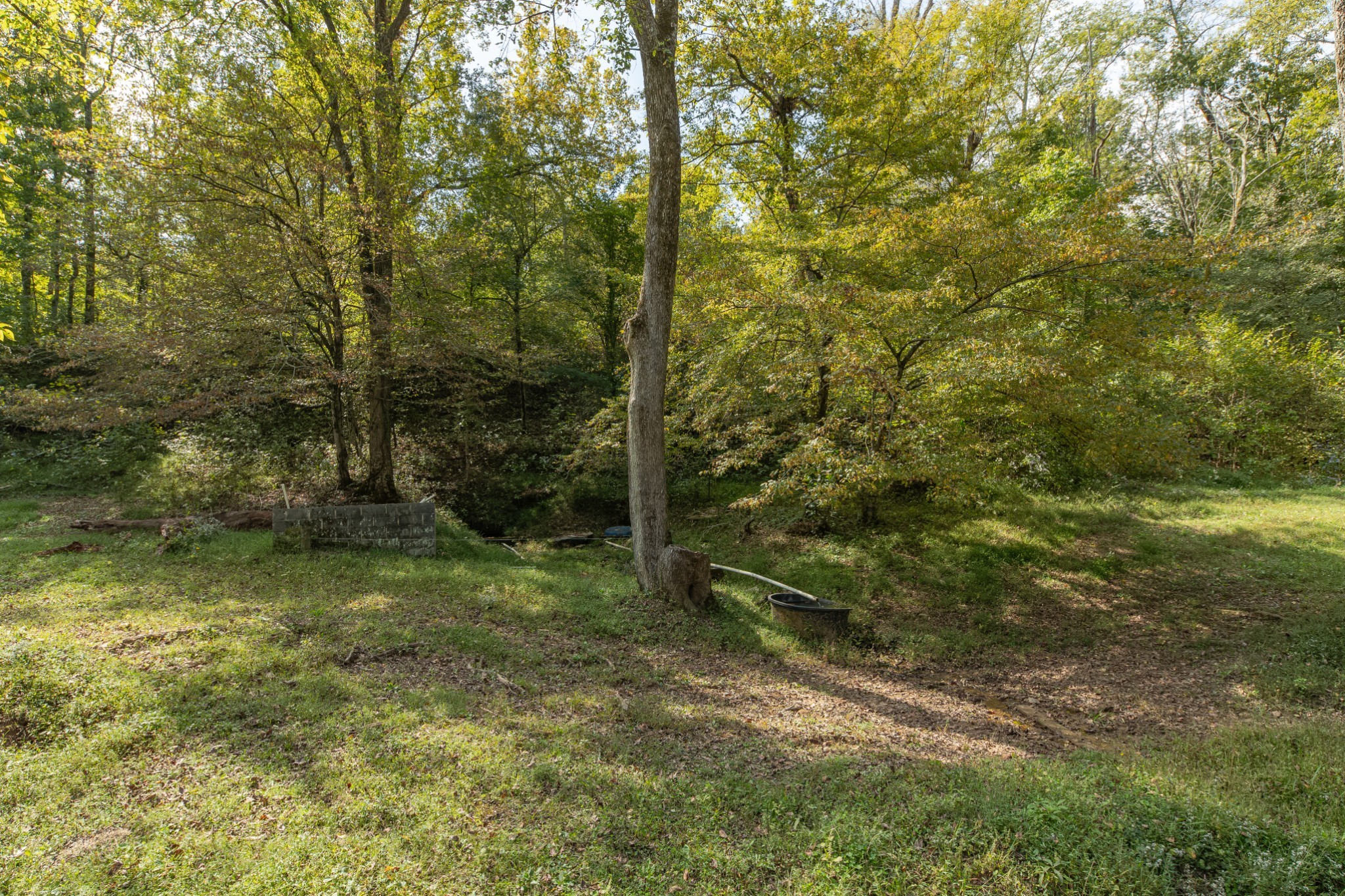 1657 Terrapin Branch Road Mount Pleasant, TN 38474 - Photo 47 of 85