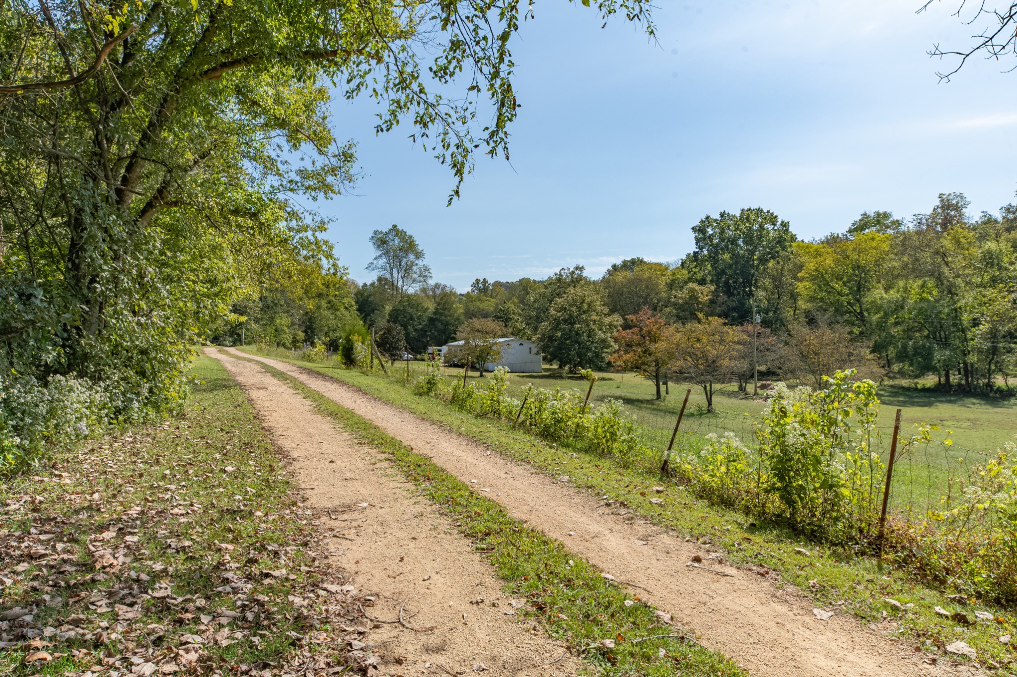 1657 Terrapin Branch Road Mount Pleasant, TN 38474 - Photo 48 of 85