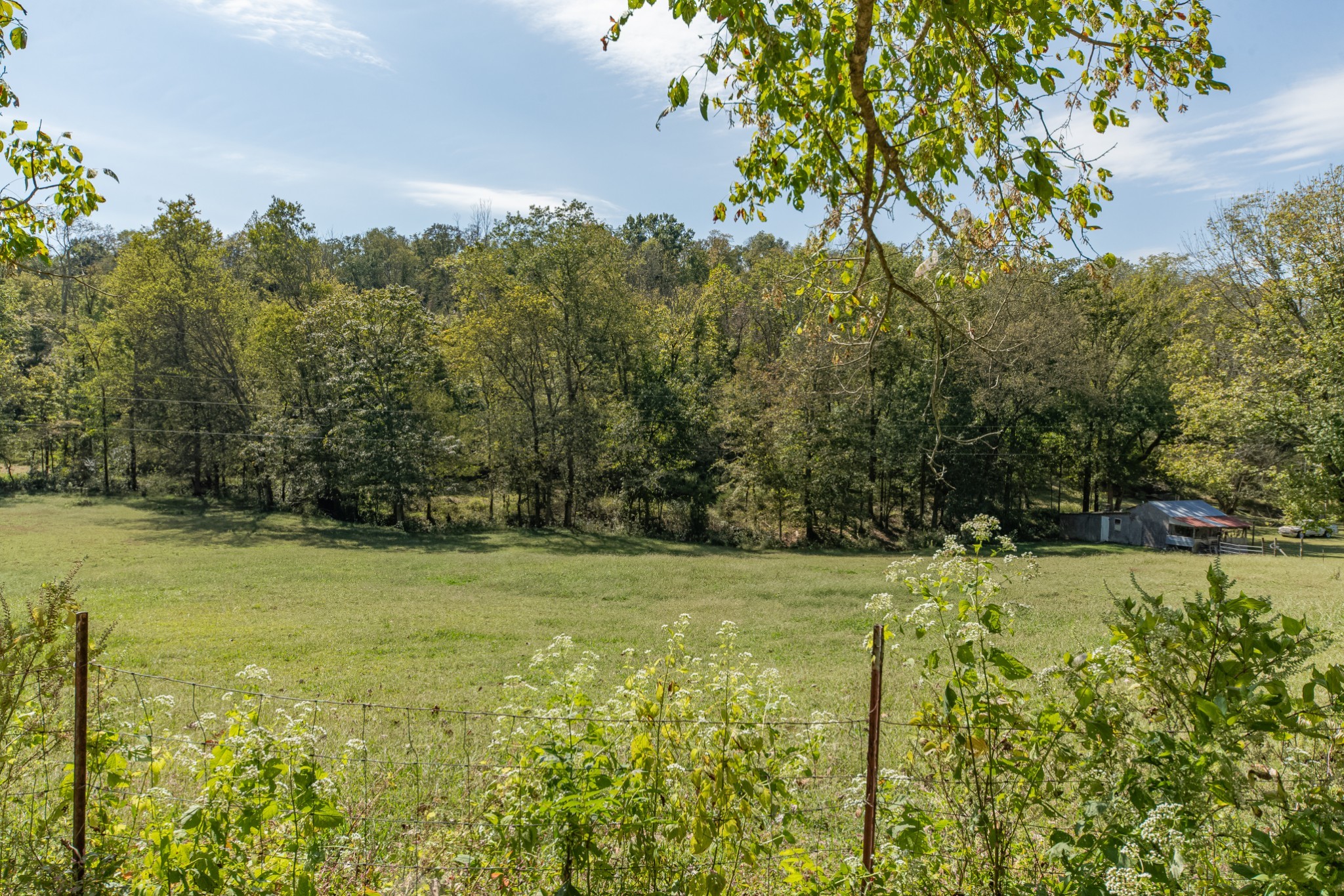 1657 Terrapin Branch Road Mount Pleasant, TN 38474 - Photo 49 of 85