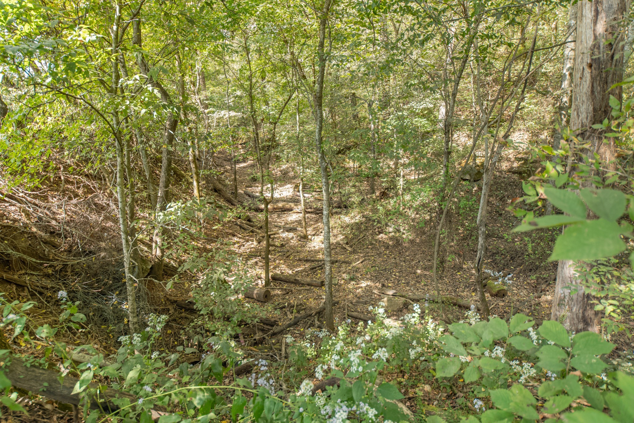 1657 Terrapin Branch Road Mount Pleasant, TN 38474 - Photo 50 of 85