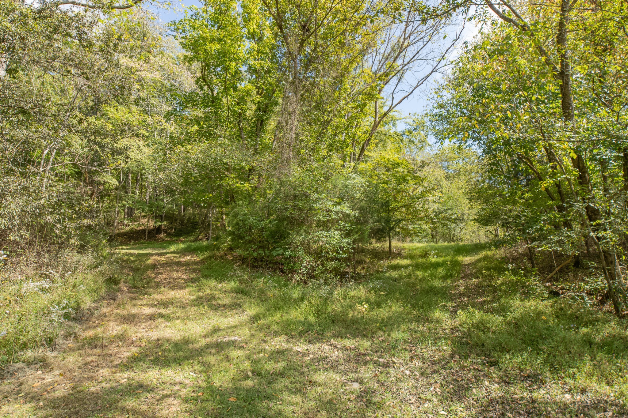 1657 Terrapin Branch Road Mount Pleasant, TN 38474 - Photo 51 of 85