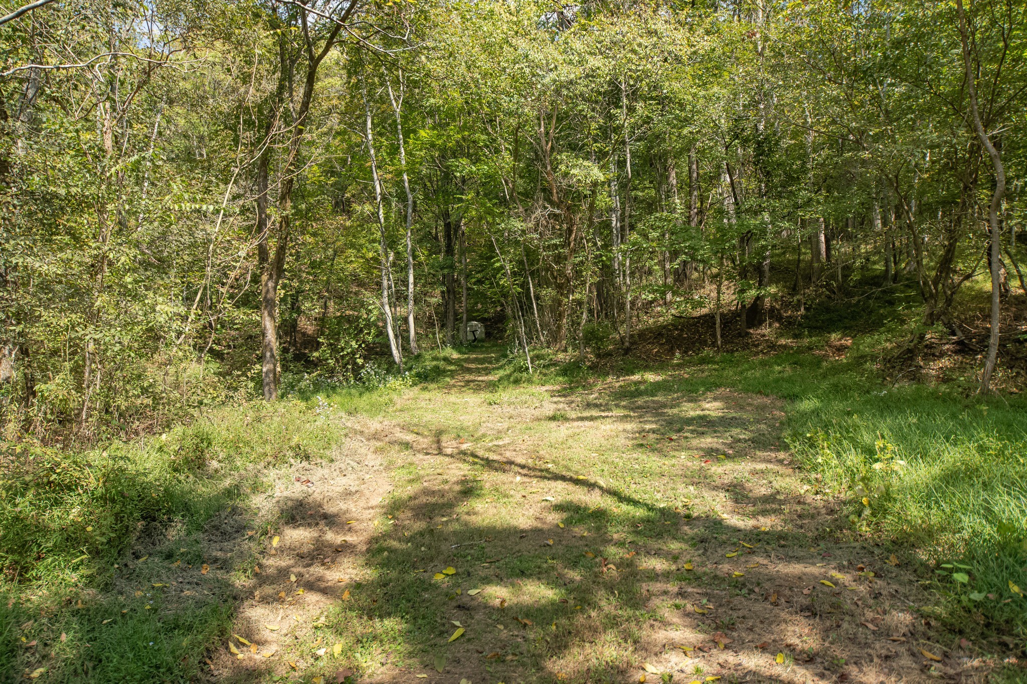 1657 Terrapin Branch Road Mount Pleasant, TN 38474 - Photo 52 of 85