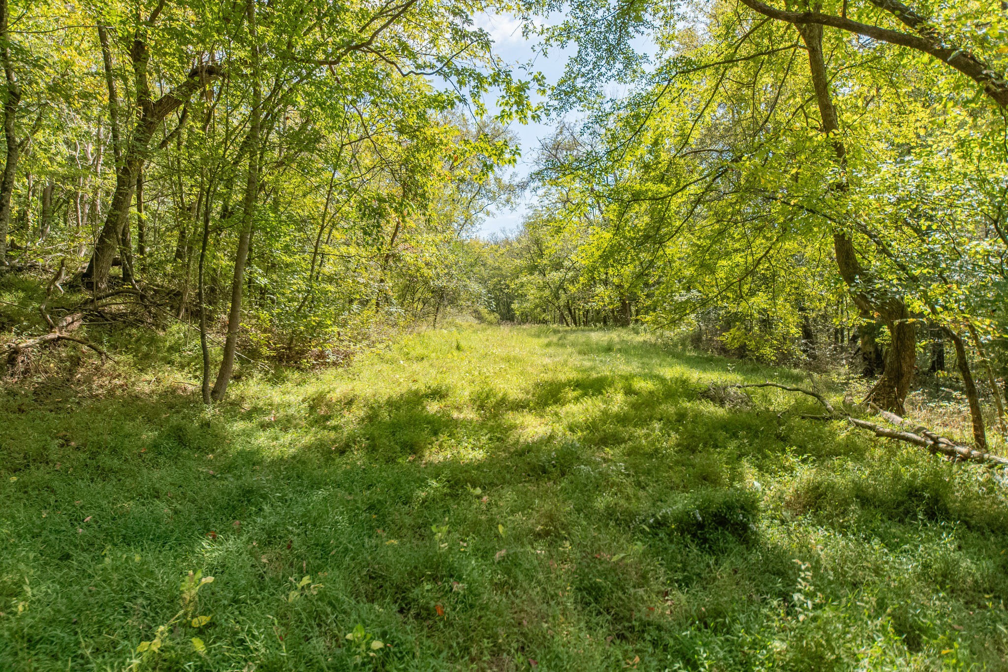1657 Terrapin Branch Road Mount Pleasant, TN 38474 - Photo 53 of 85