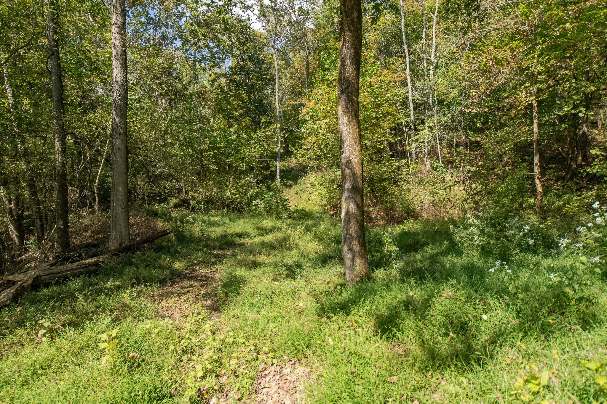 1657 Terrapin Branch Road Mount Pleasant, TN 38474 - Photo 54 of 85