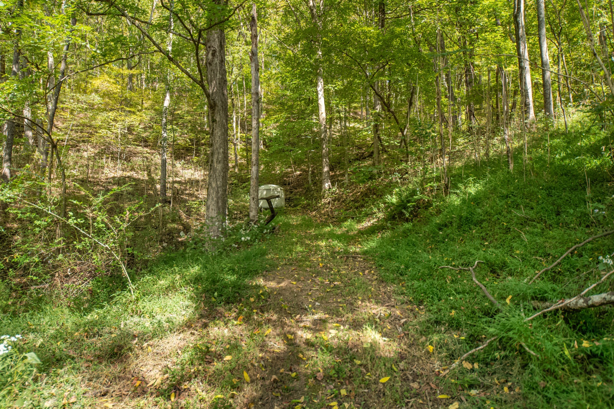 1657 Terrapin Branch Road Mount Pleasant, TN 38474 - Photo 55 of 85
