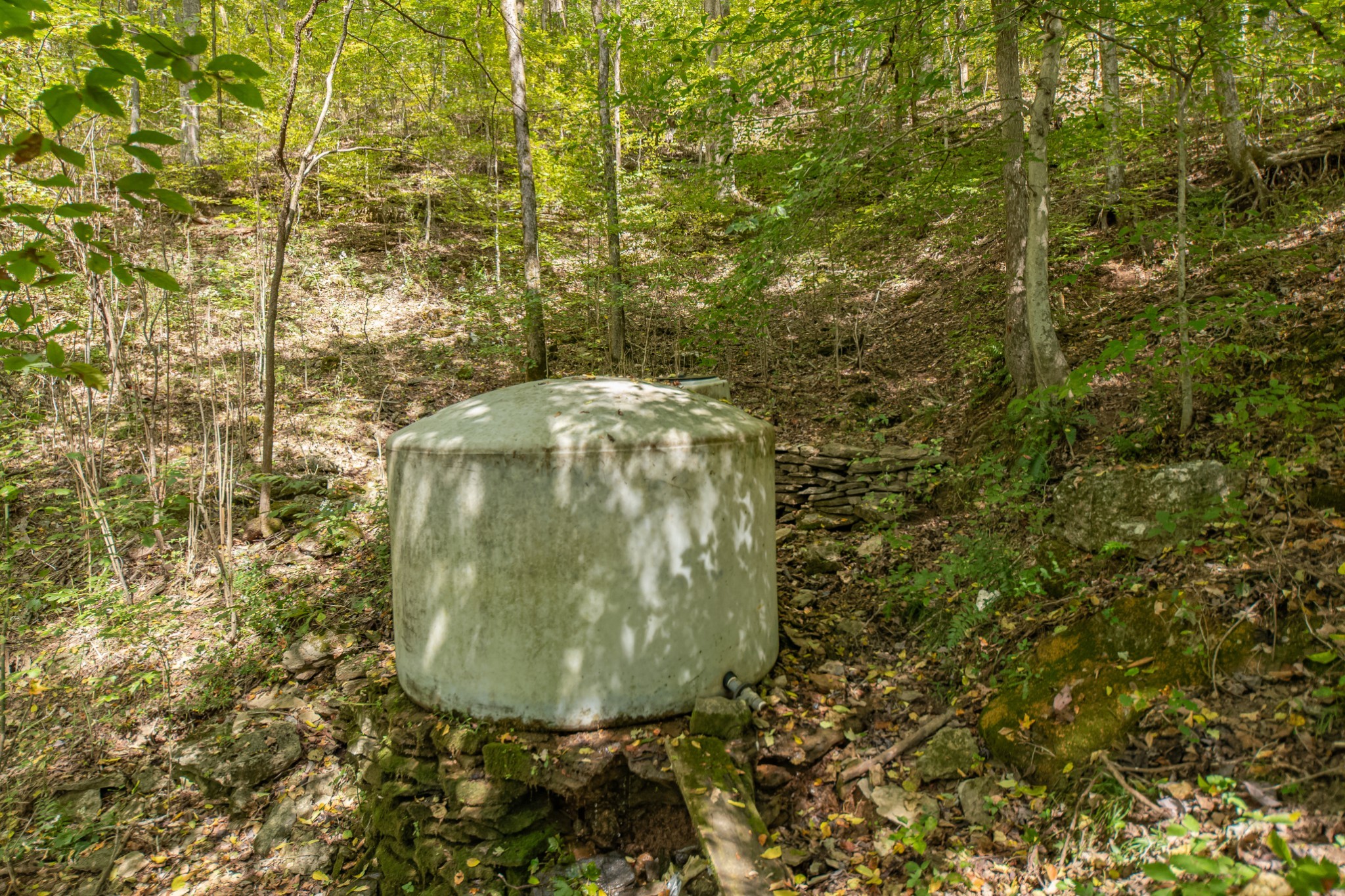 1657 Terrapin Branch Road Mount Pleasant, TN 38474 - Photo 56 of 85