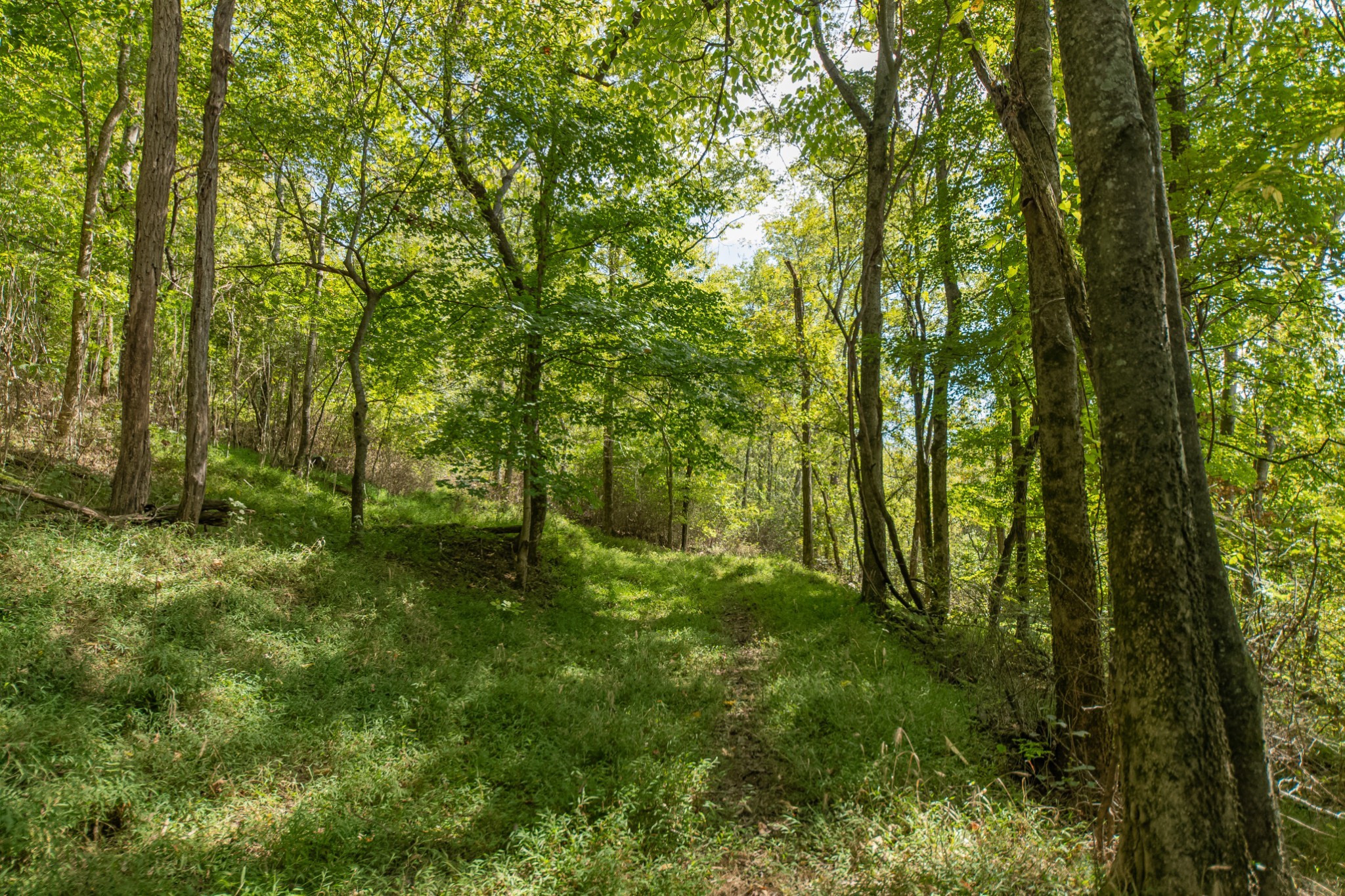 1657 Terrapin Branch Road Mount Pleasant, TN 38474 - Photo 60 of 85