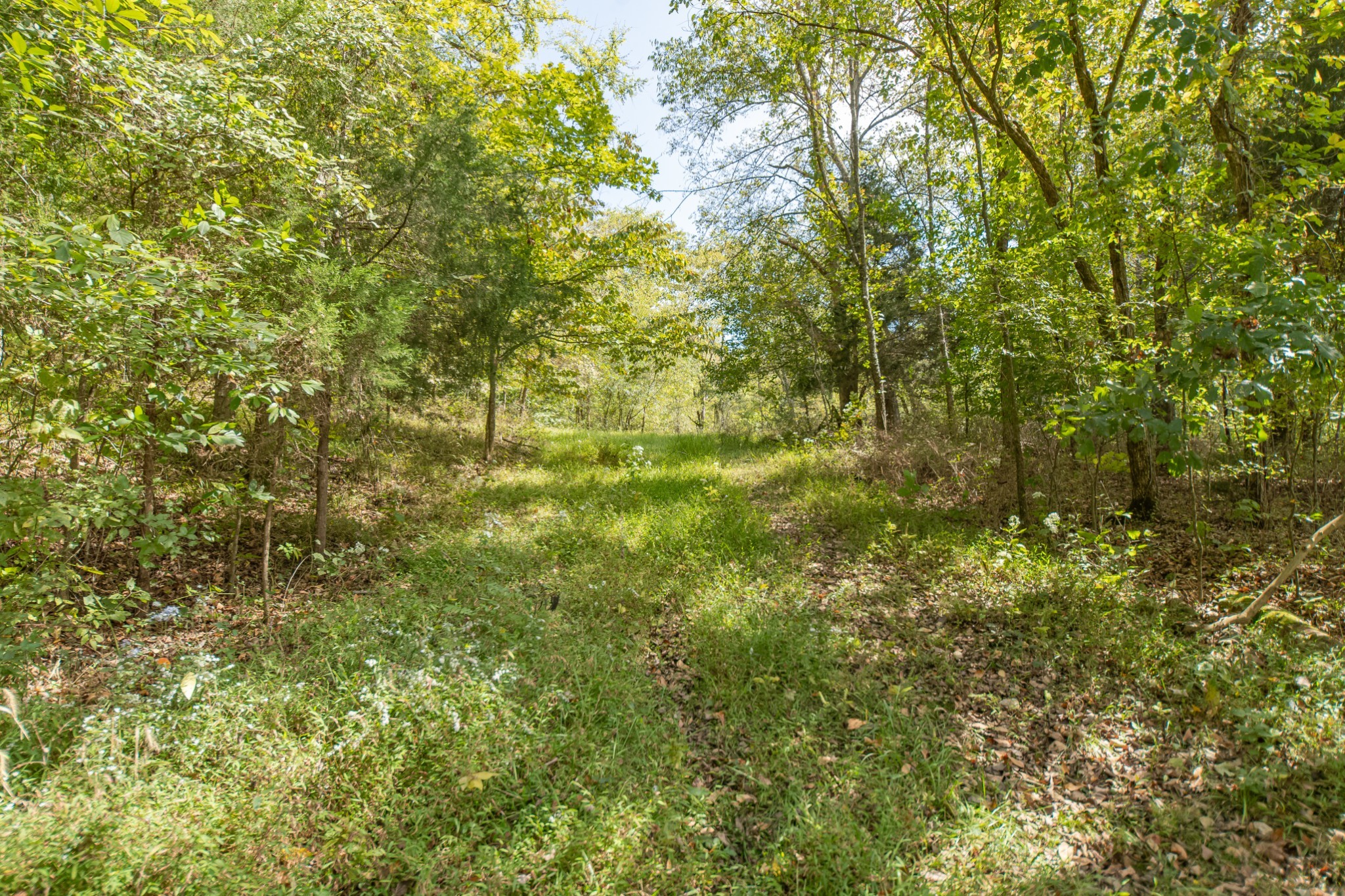 1657 Terrapin Branch Road Mount Pleasant, TN 38474 - Photo 62 of 85