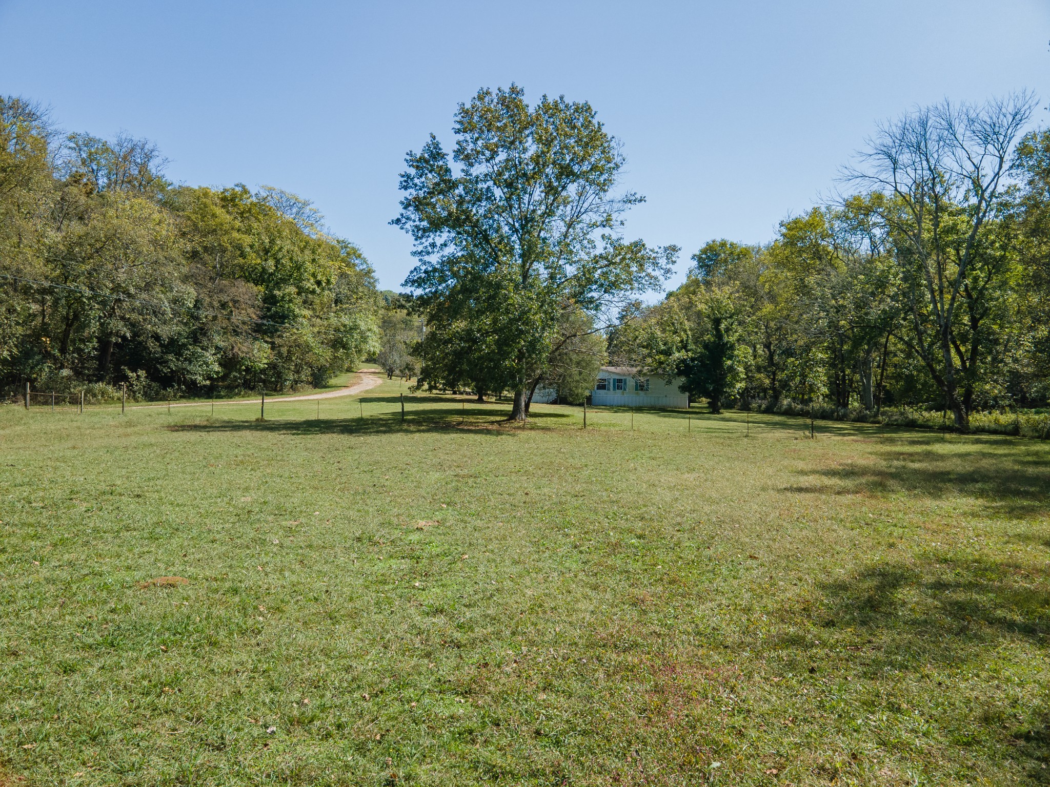 1657 Terrapin Branch Road Mount Pleasant, TN 38474 - Photo 63 of 85