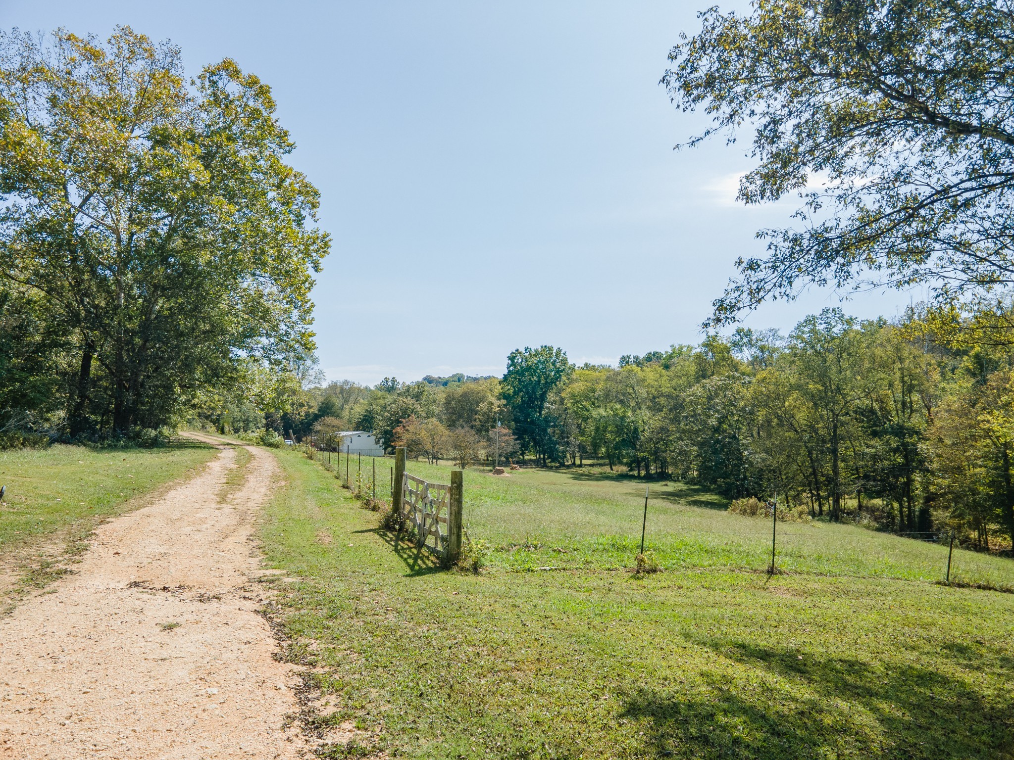 1657 Terrapin Branch Road Mount Pleasant, TN 38474 - Photo 77 of 85