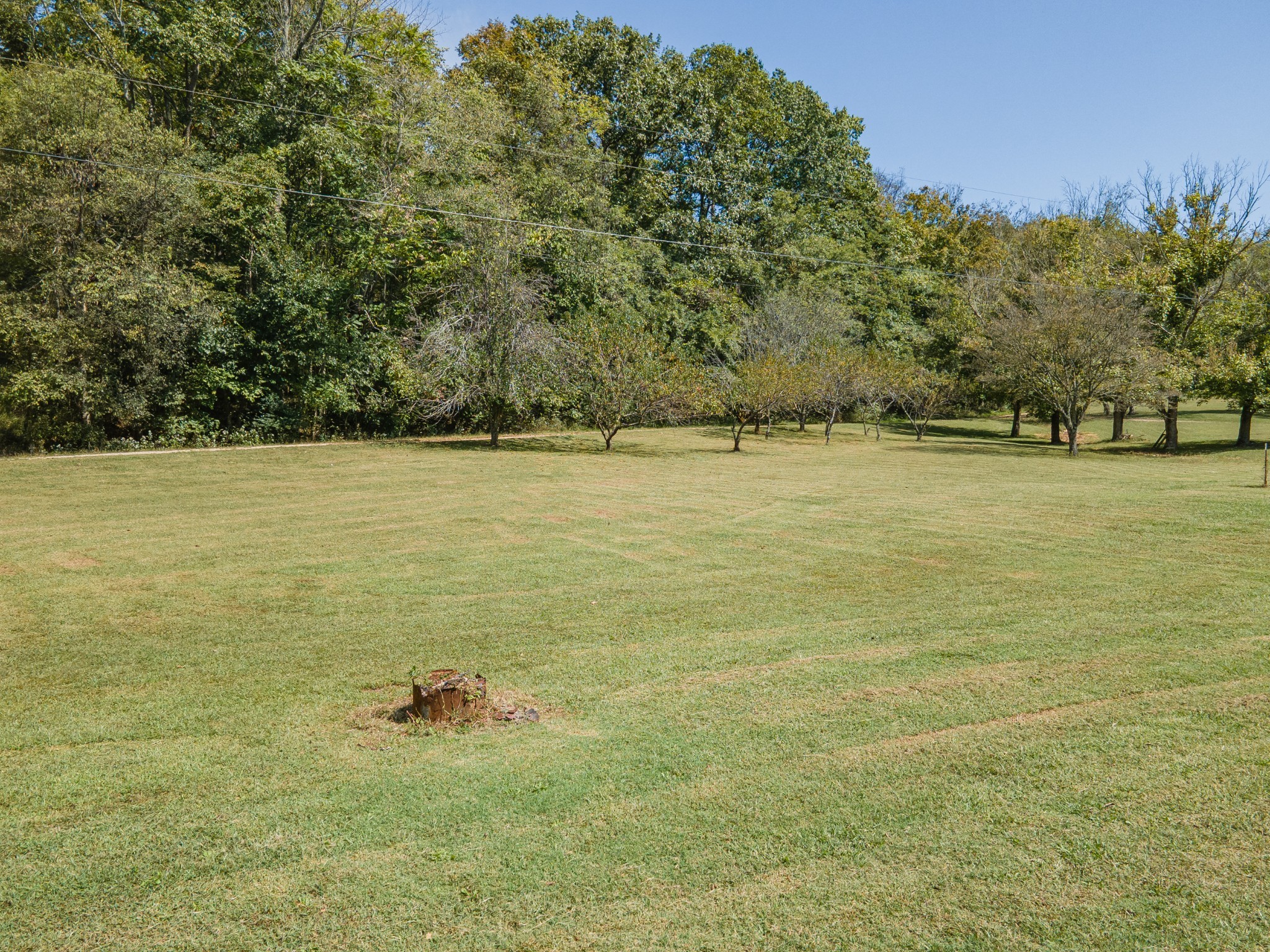 1657 Terrapin Branch Road Mount Pleasant, TN 38474 - Photo 78 of 85
