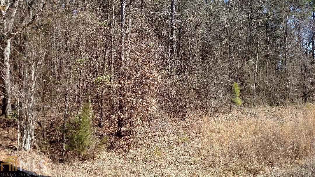 2509 Bold Springs Road, Unit 2 Monroe, GA 30656 - Photo 1 of 1
