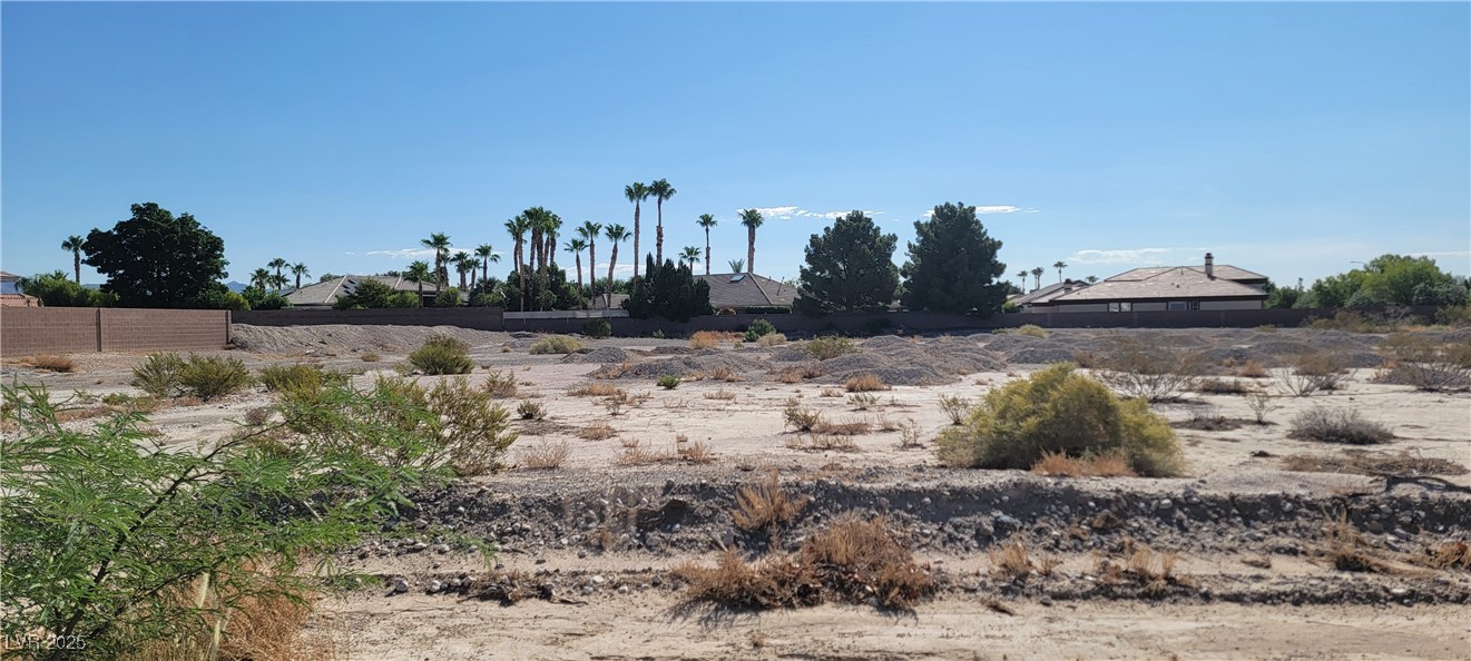 7026 Farm Road Las Vegas, NV 89131 - Photo 5 of 7 View of yard