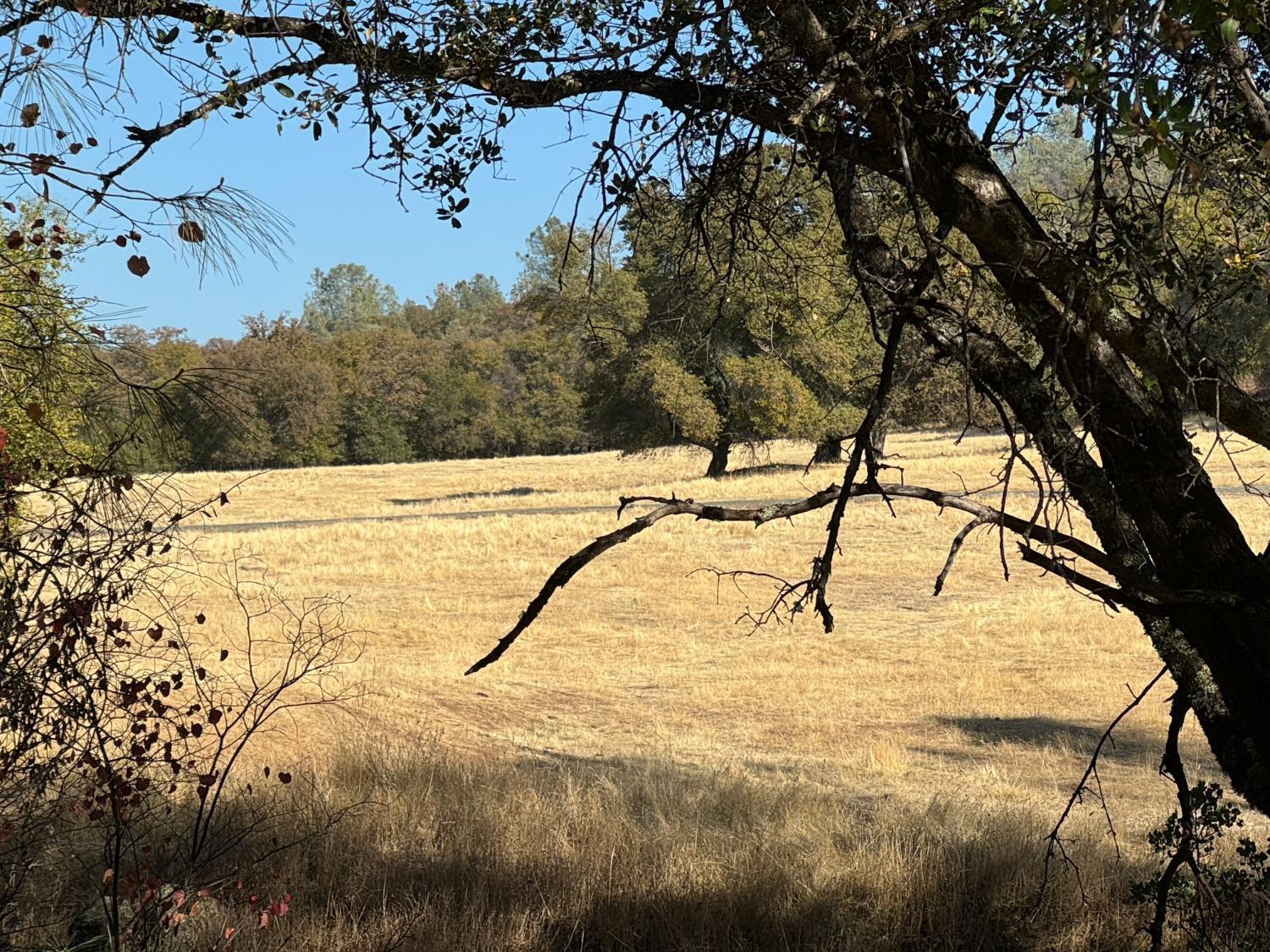 0 County Road Oregon House, CA 95962 - Photo 14 of 38 a view of white pool with a yard