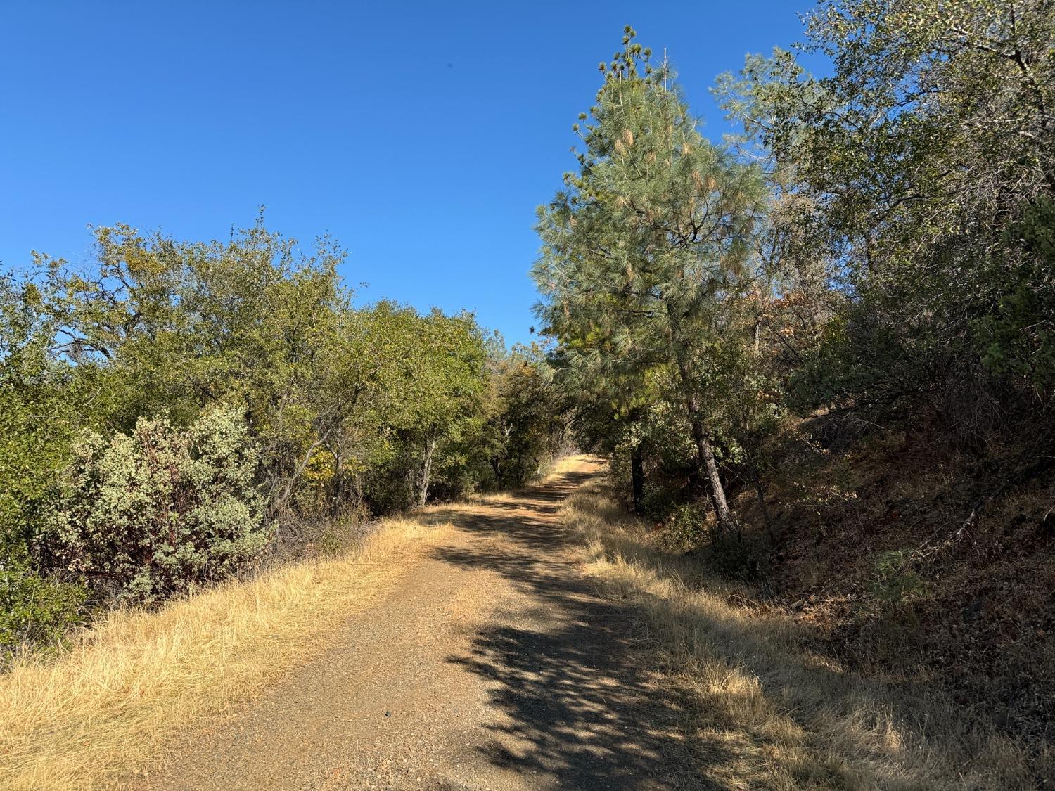 0 County Road Oregon House, CA 95962 - Photo 16 of 38 a view of a field with trees in the background