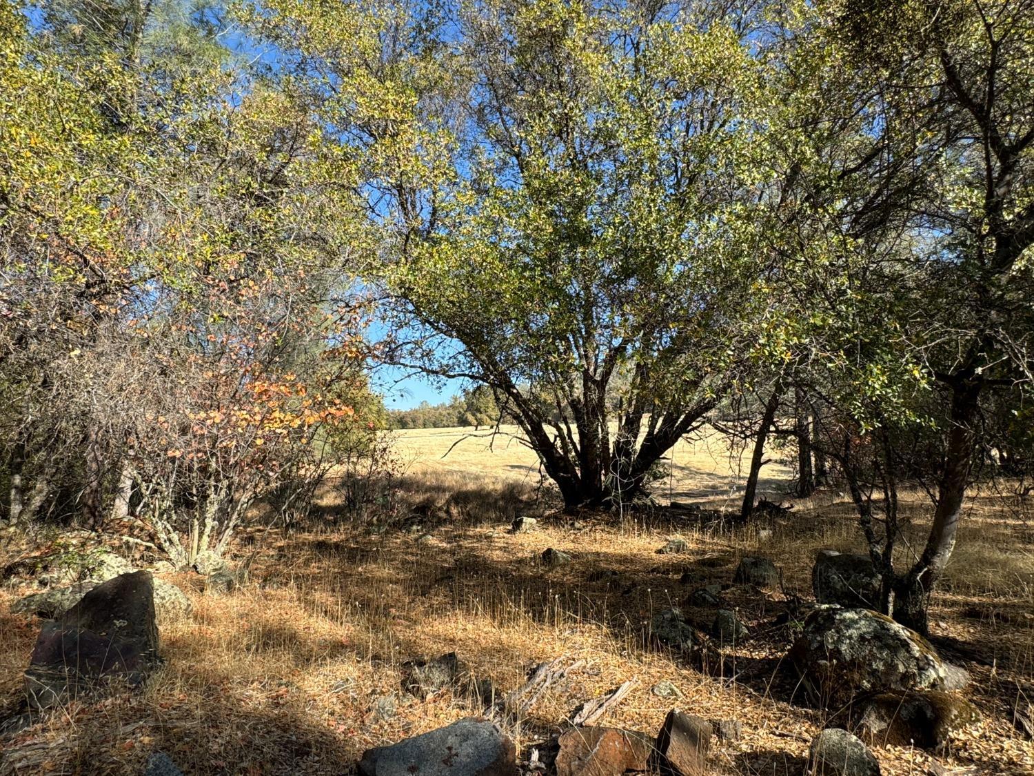 0 County Road Oregon House, CA 95962 - Photo 17 of 38
