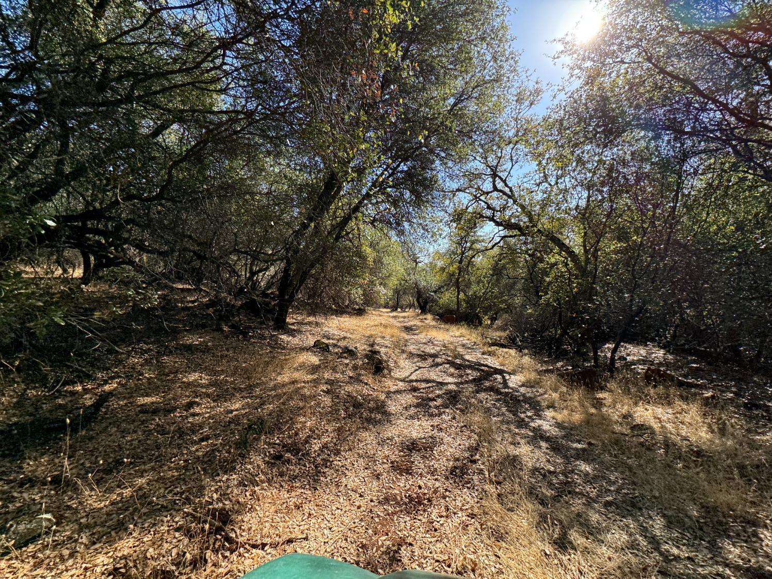 0 County Road Oregon House, CA 95962 - Photo 19 of 38 a view of outdoor space and yard