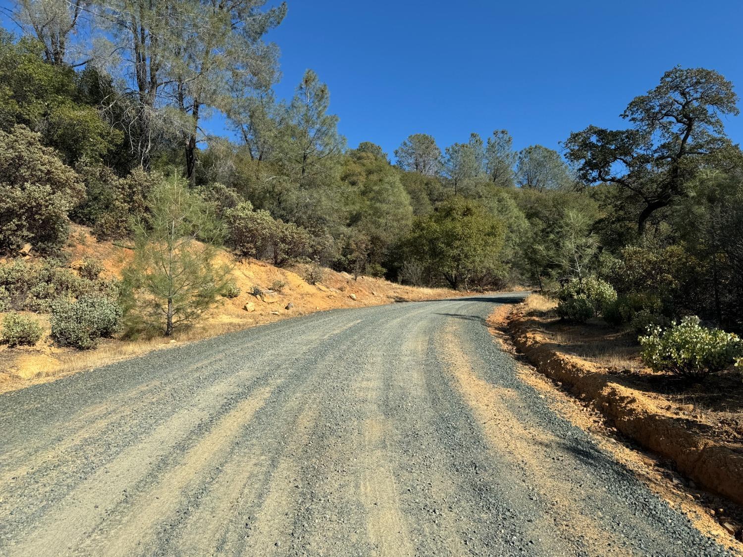 0 County Road Oregon House, CA 95962 - Photo 22 of 38 a view of a yard