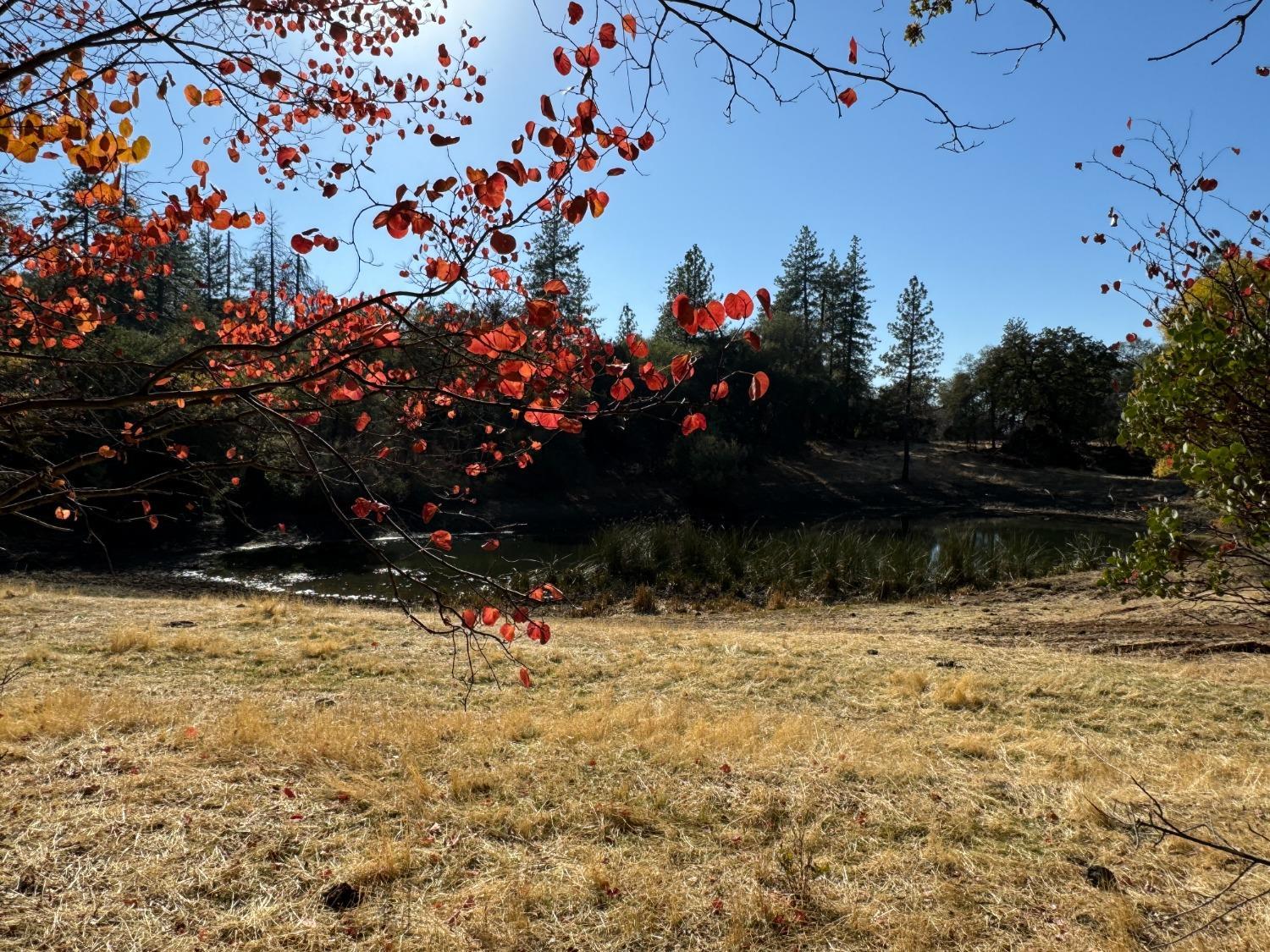 0 County Road Oregon House, CA 95962 - Photo 26 of 38 a view of a yard
