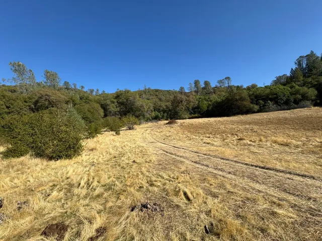 a view of covered with trees