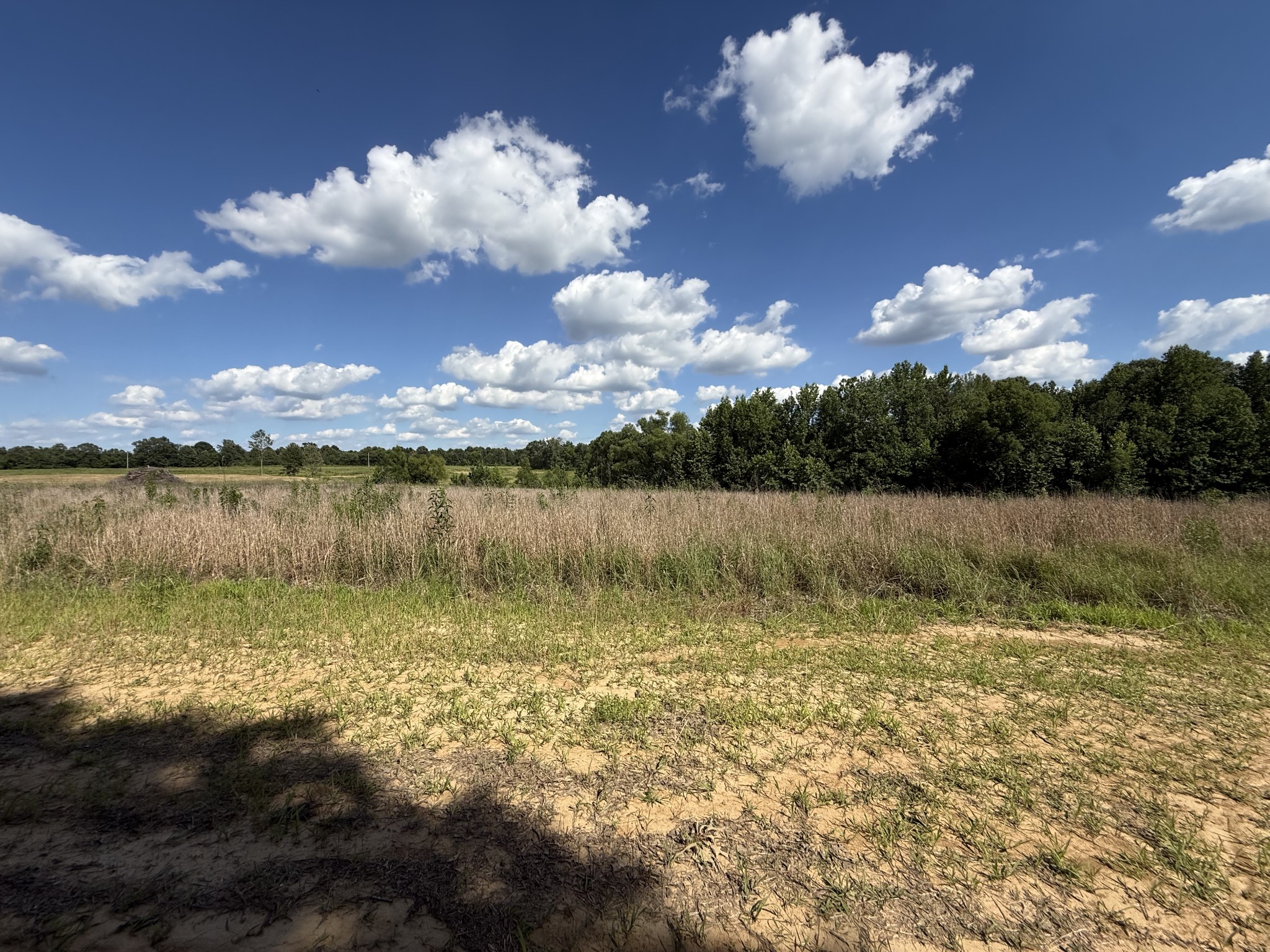 2333 Shady Grove Road McKenzie, TN 38201 - Photo 55 of 72