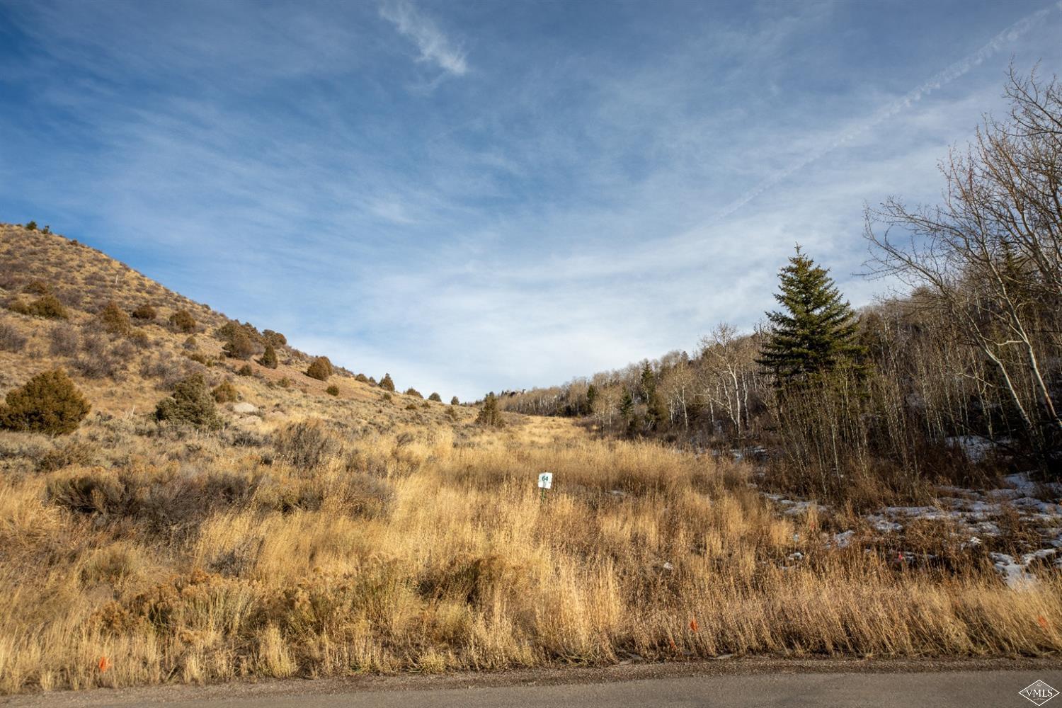420 Little Andorra Road Edwards, CO 81632 - Photo 3 of 8 Additional Photo