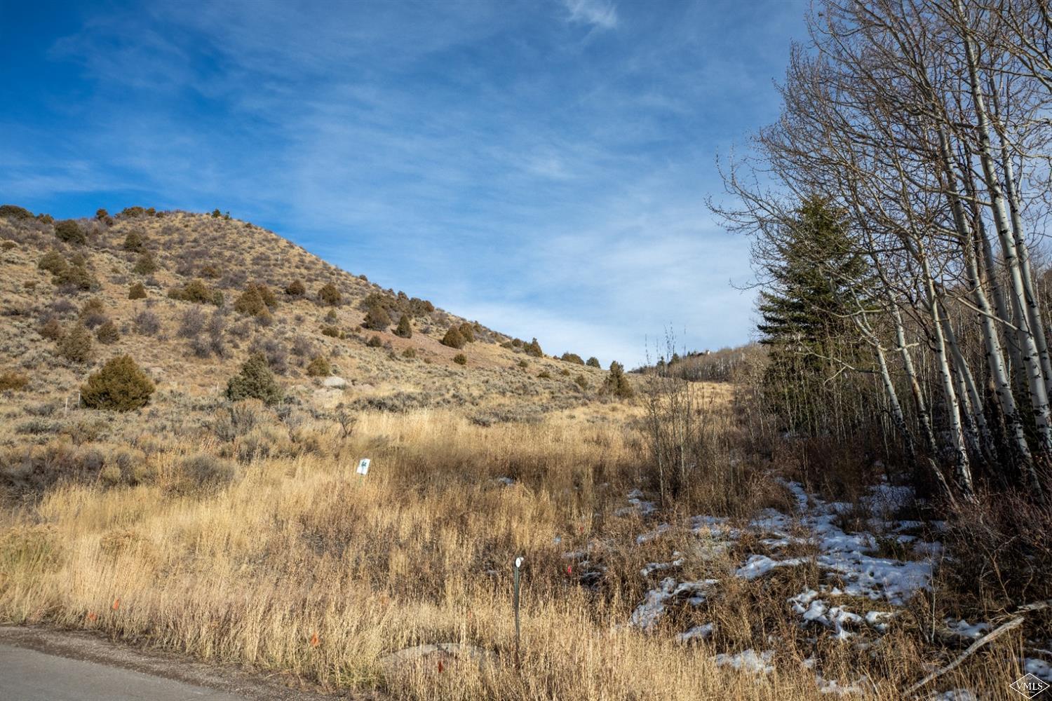 420 Little Andorra Road Edwards, CO 81632 - Photo 4 of 8 Additional Photo