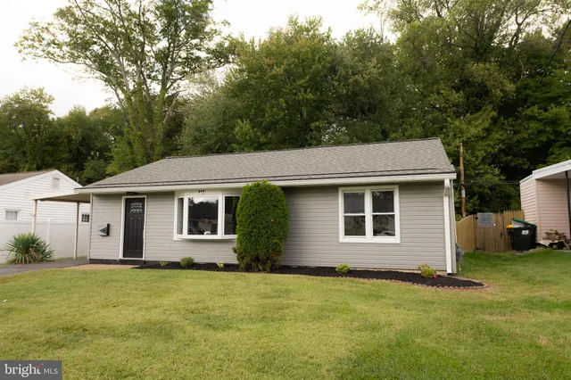 a view of a backyard with plants and large tree