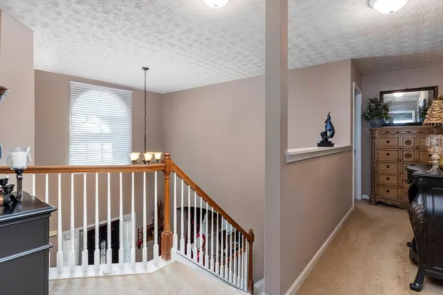 a view of a hallway with windows and furniture
