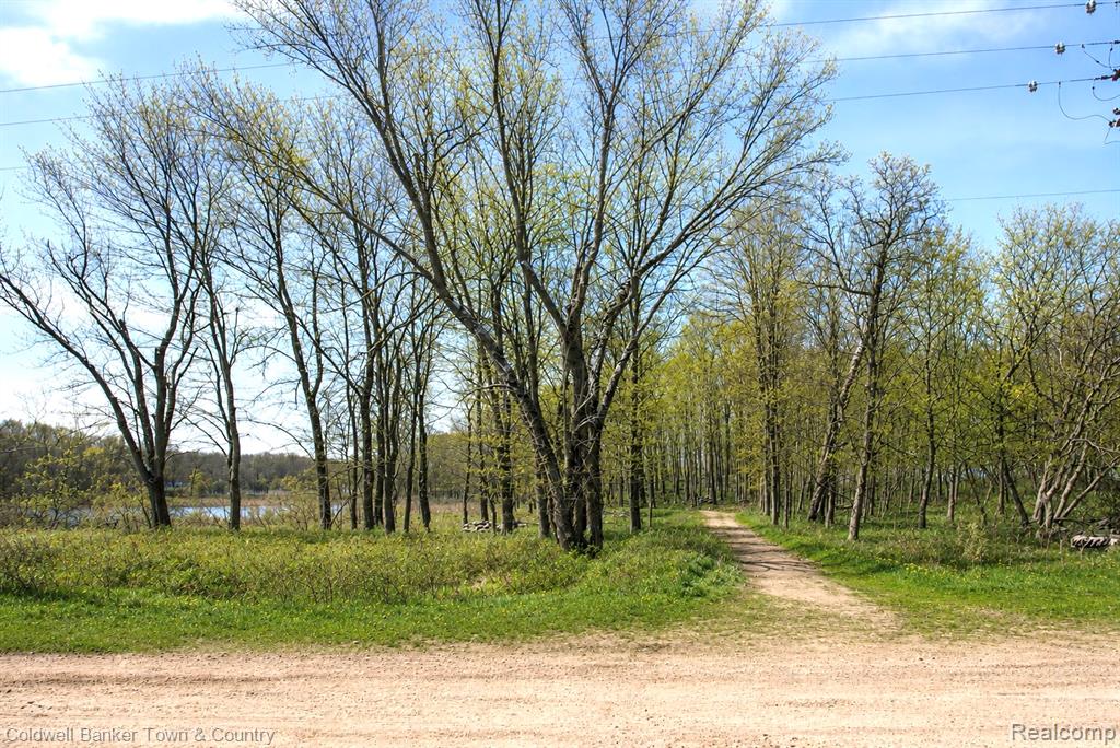 Vl Spears Road Gregory, MI 48137 - Photo 5 of 25